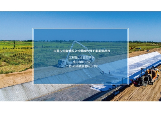 河套灌區義長灌域沙河干渠渠道項目